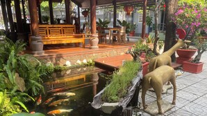 Un espacio al aire libre tranquilo con un estanque de carpas, bancos de madera y plantas en macetas.