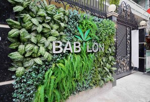 Uma parede com diversas plantas verdes e a palavra "BABILON" em letras grandes.