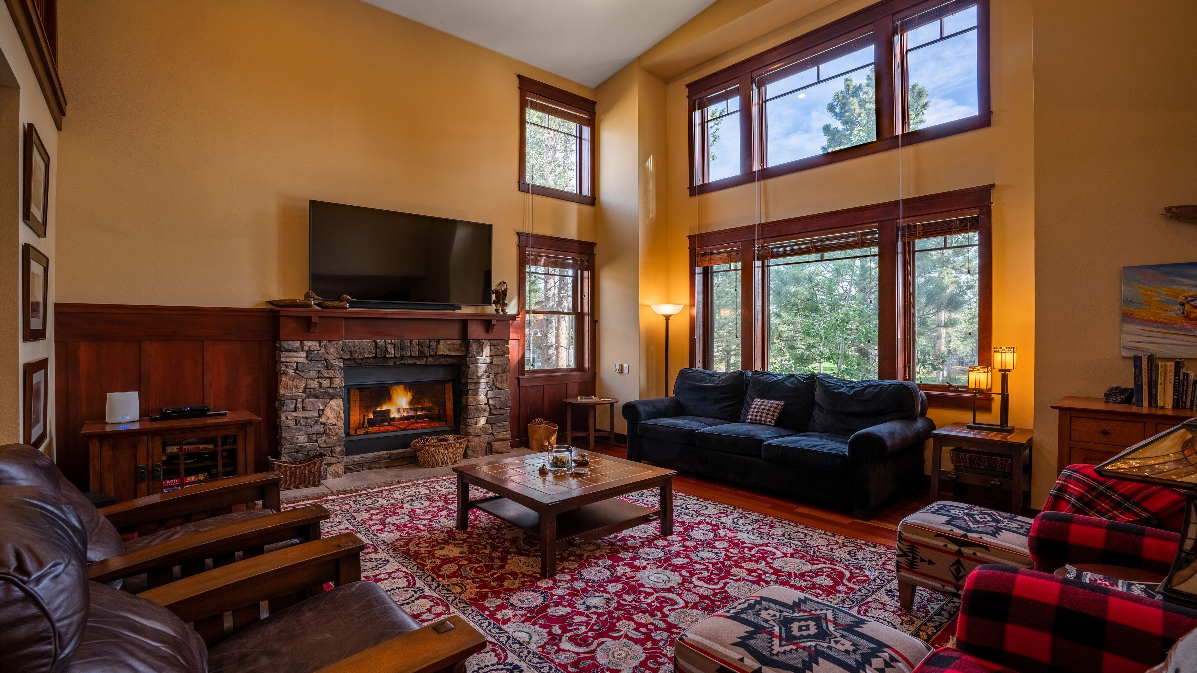 Smart TV, fireplace, DVD player, books