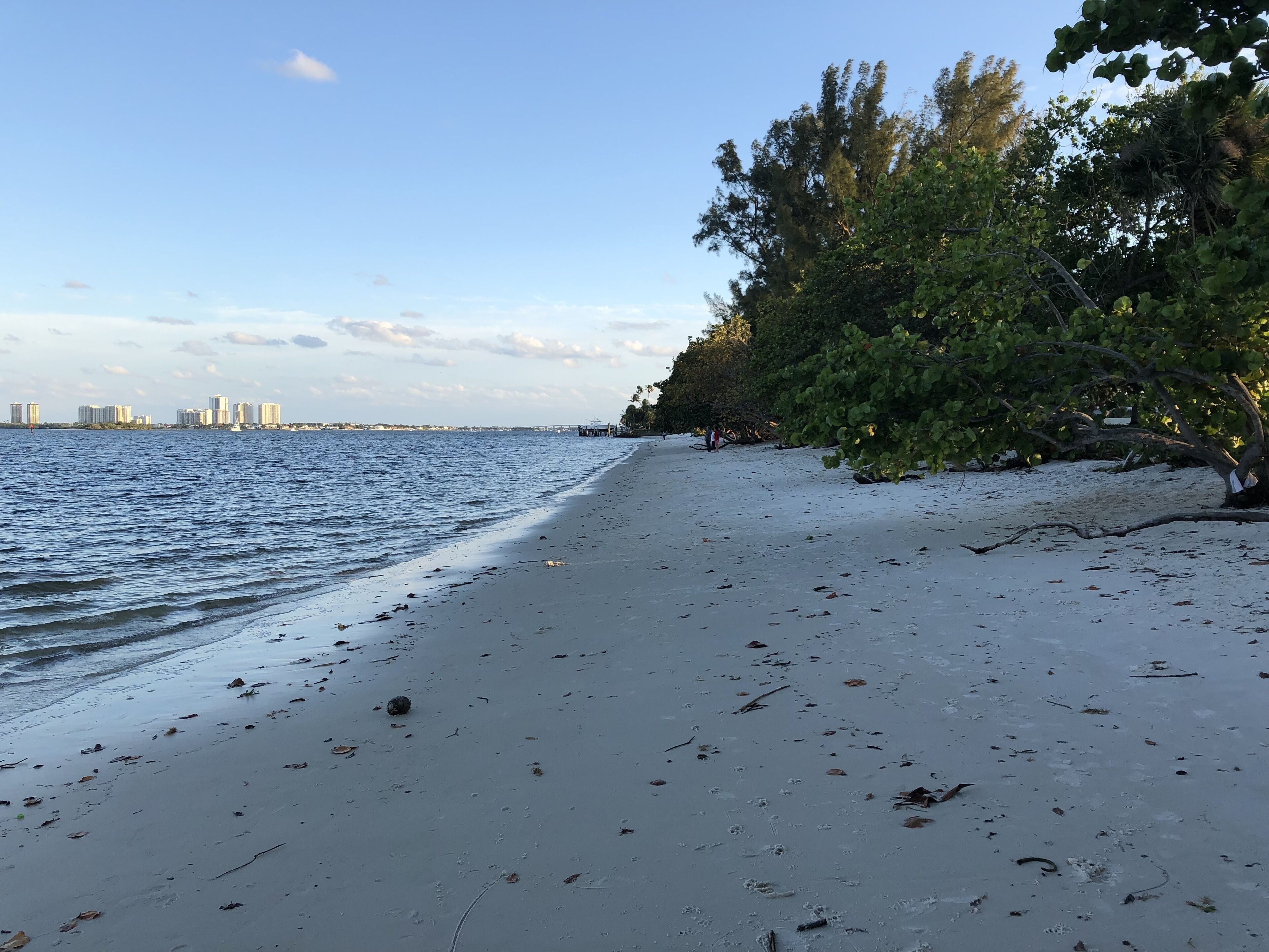A beach with a clear view of the ocean and a distant city skyline.