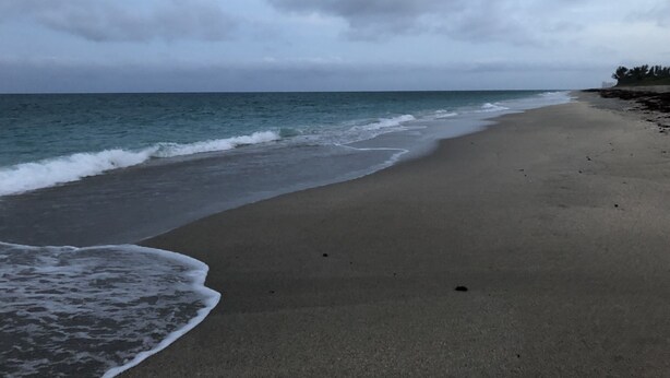 A beach with a sandy shore and waves approaching. - Large lock off room on the backside of our home, 2 miles from beaches. US1&PGA (North Palm Beach)