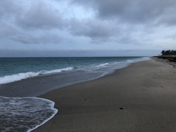 Plage à proximité, chaises longues, serviettes de plage