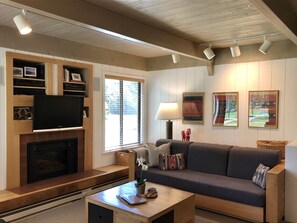 智能电视、壁炉、DVD 播放器、书