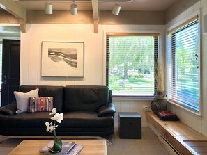 智能电视、壁炉、DVD 播放器、书