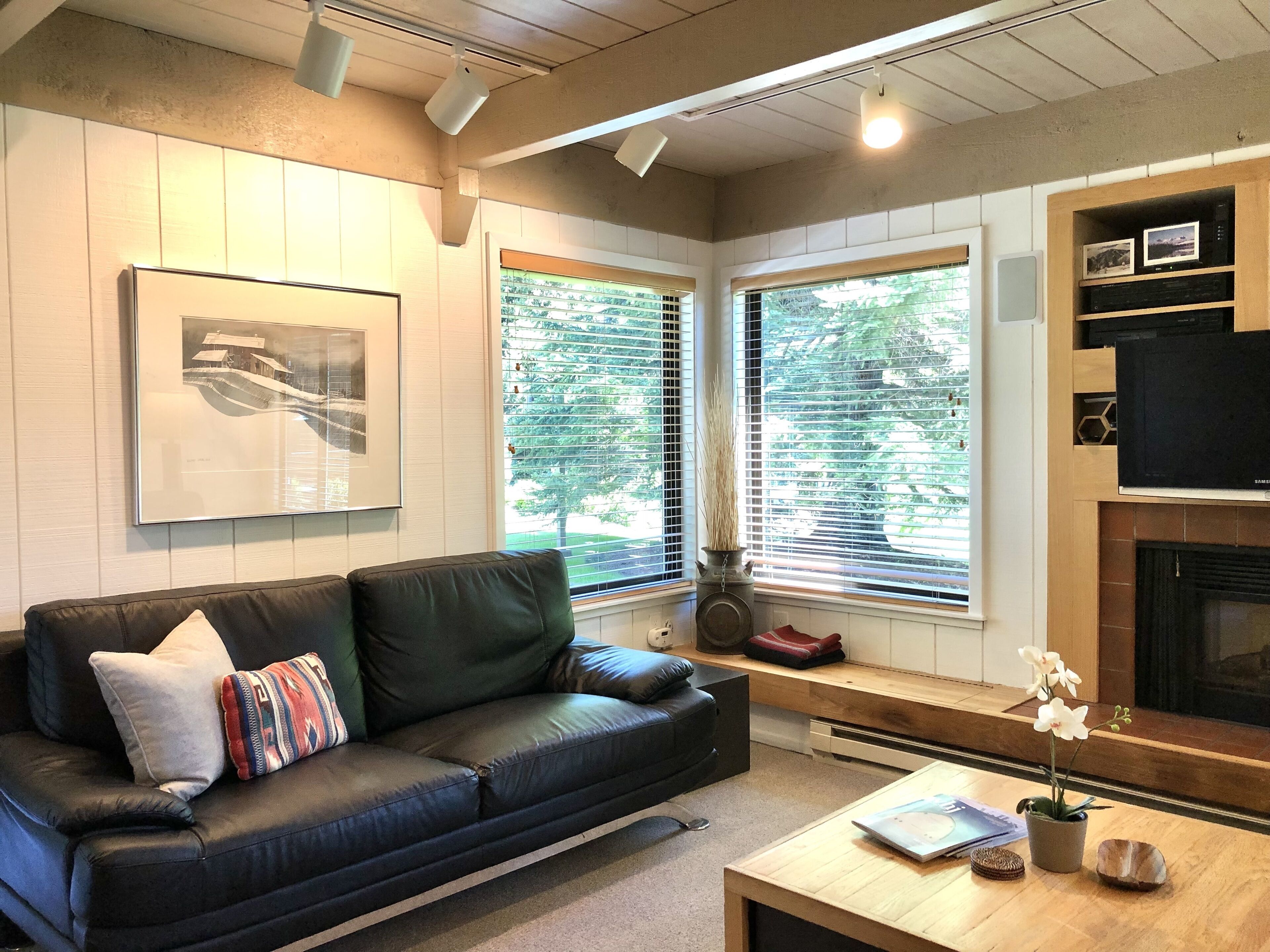 Smart TV, fireplace, DVD player, books