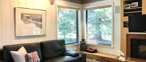 Smart TV, chimenea, reproductor de DVD, libros