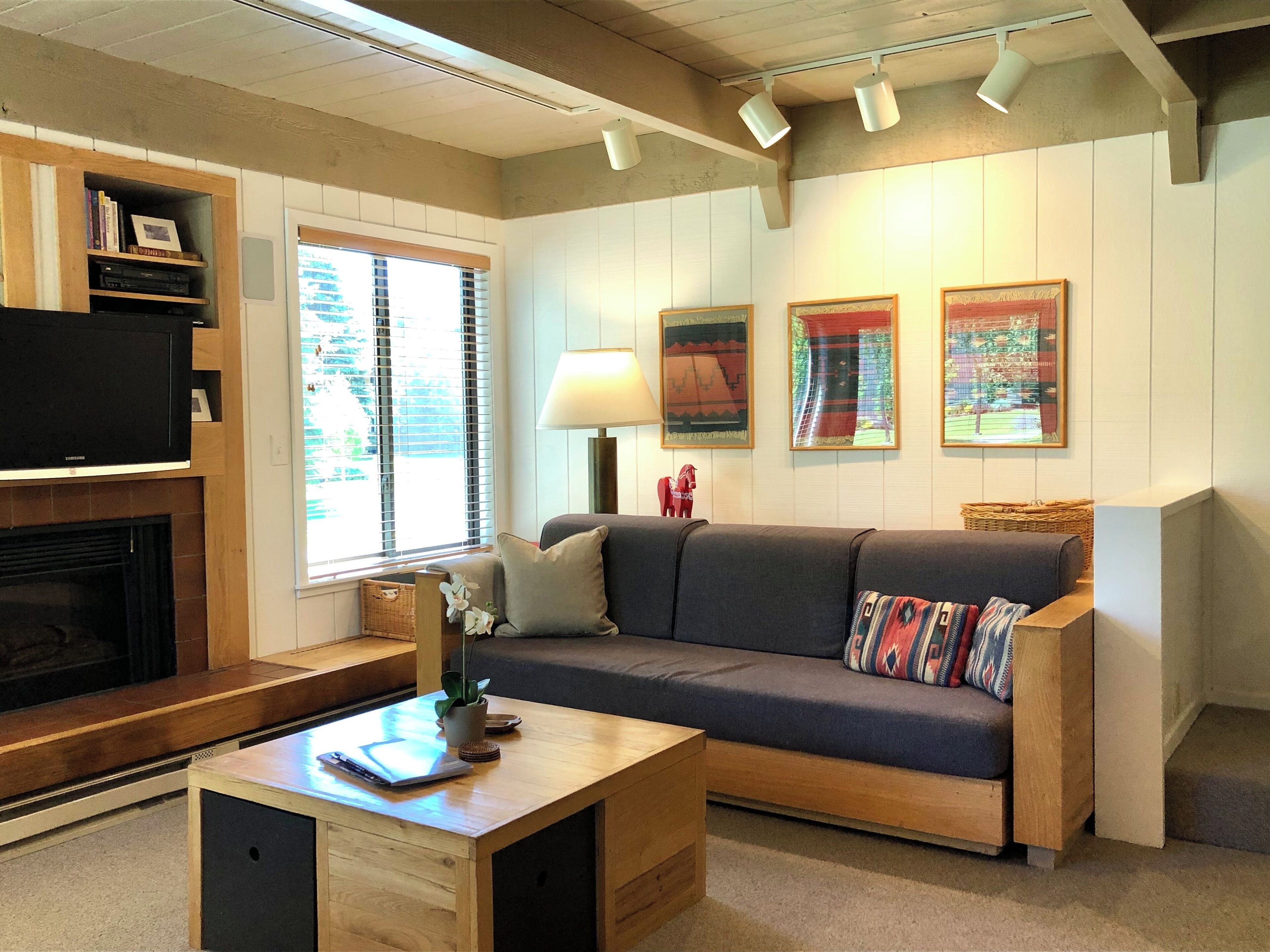 Smart TV, fireplace, DVD player, books