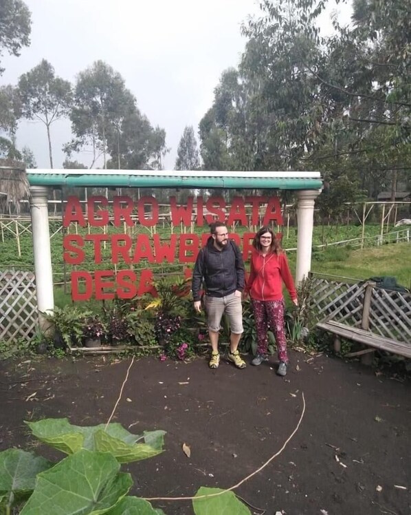 Property grounds - Bromo Authentic Homestay (Ngadisari)