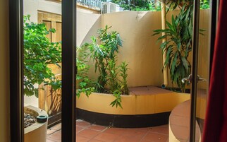 Un pequeño espacio al aire libre con un muro curvo, varias plantas en macetas y suelo de baldosas.