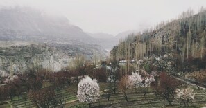 Property grounds - Mountain Breeze Hunza (Karimabad)
