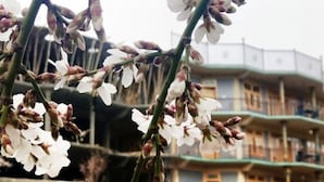 Unclassified image, 3 of 11, button - Mountain Breeze Hunza (Karimabad)