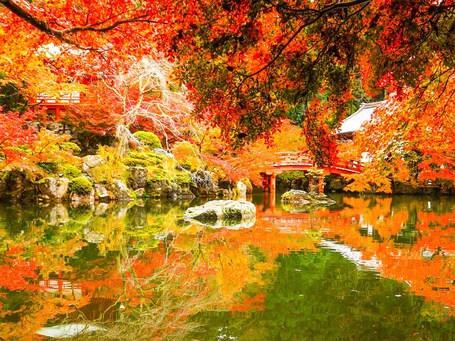 eph KYOTO - Image 24