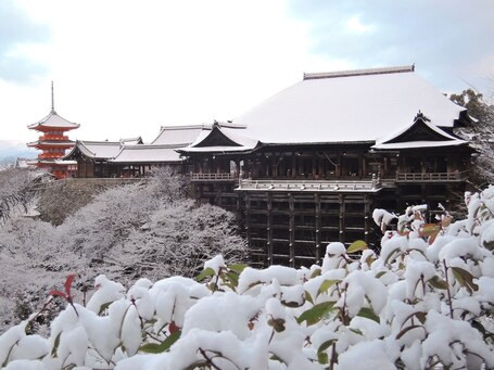 eph KYOTO - Image 4
