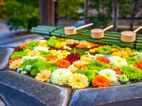 eph KYOTO - Image 13