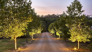 A gravel path flanked by evenly spaced trees with lights, leading into a forested area.