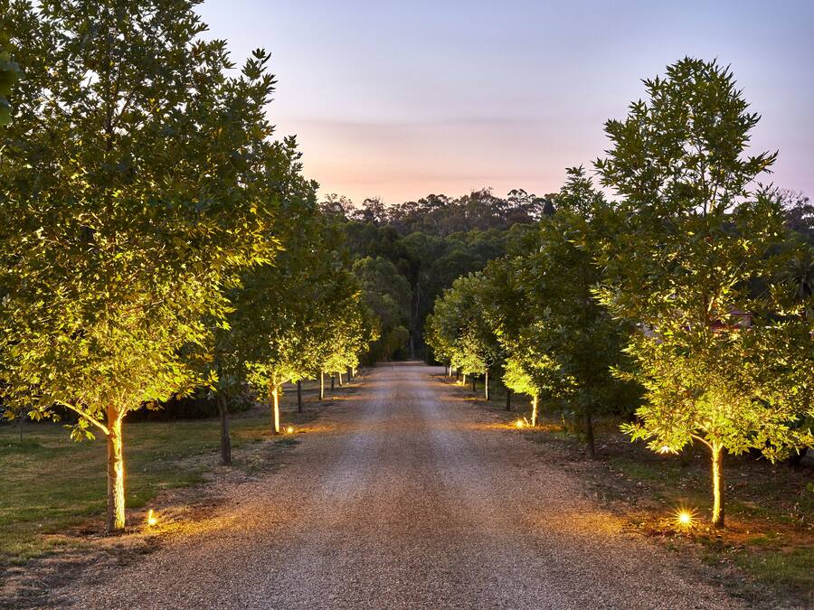 A gravel path flanked by evenly spaced trees with lights, leading into a forested area.