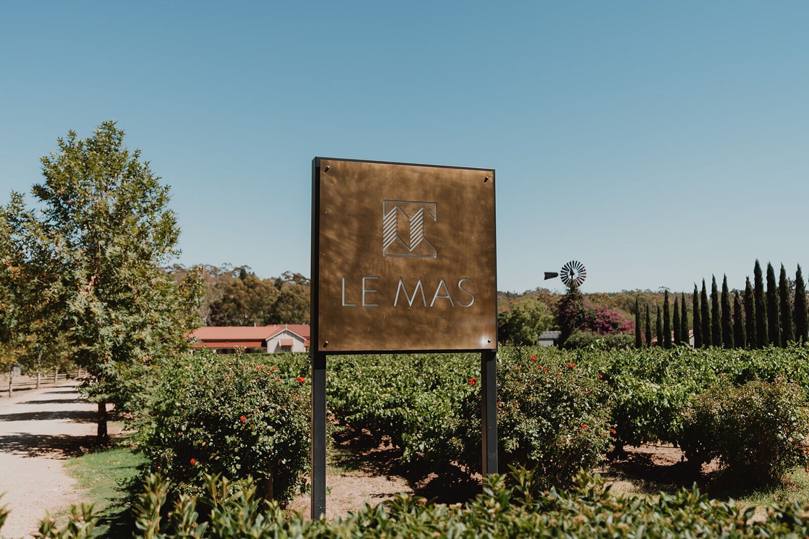 A sign with the name "LEMAS" in a vineyard setting.