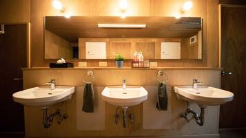 Shower, free toiletries, hair dryer, bidet
