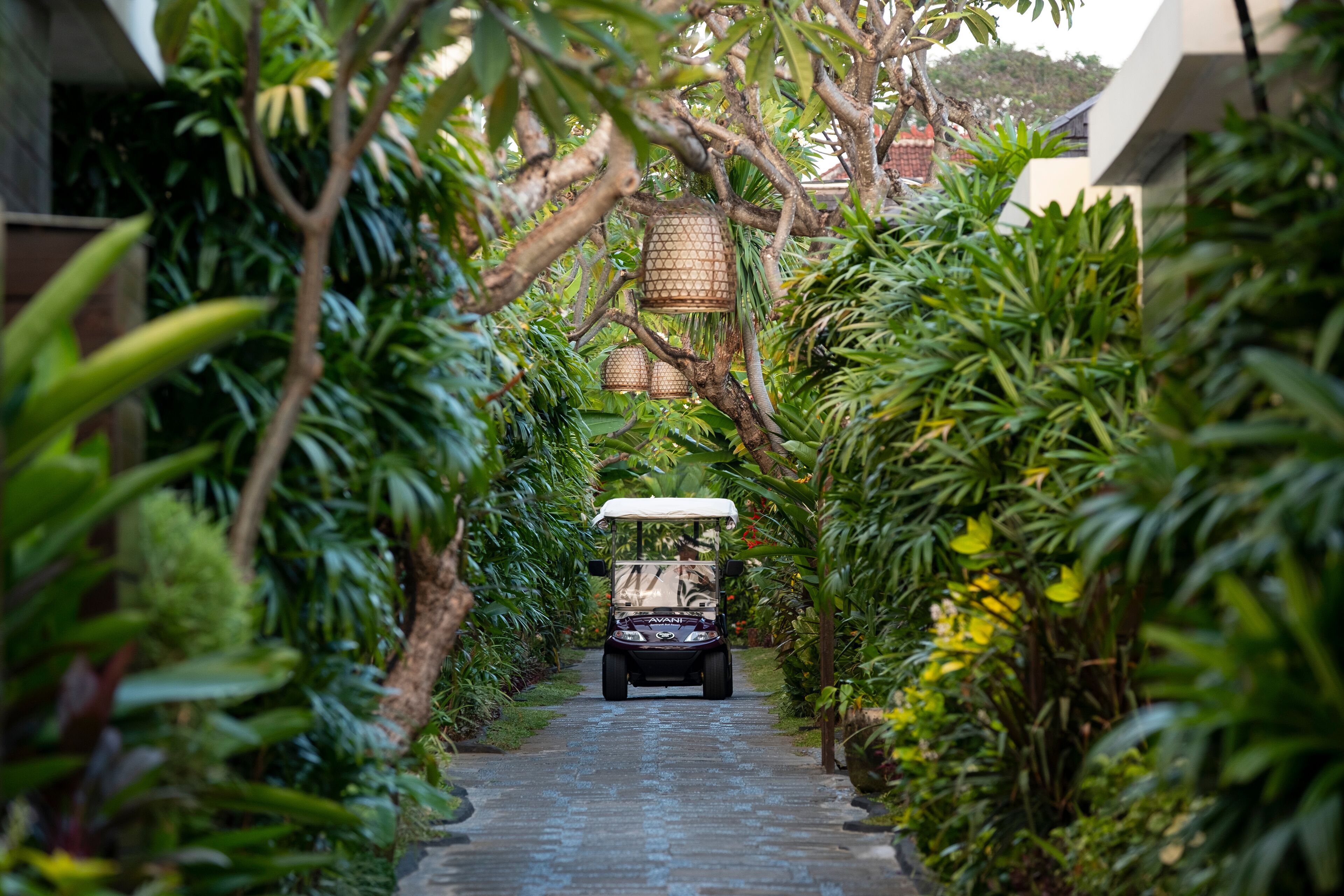 Photo - Avani Seminyak Bali Resort