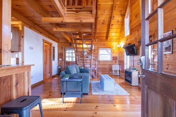 TV, DVD player, books, video library