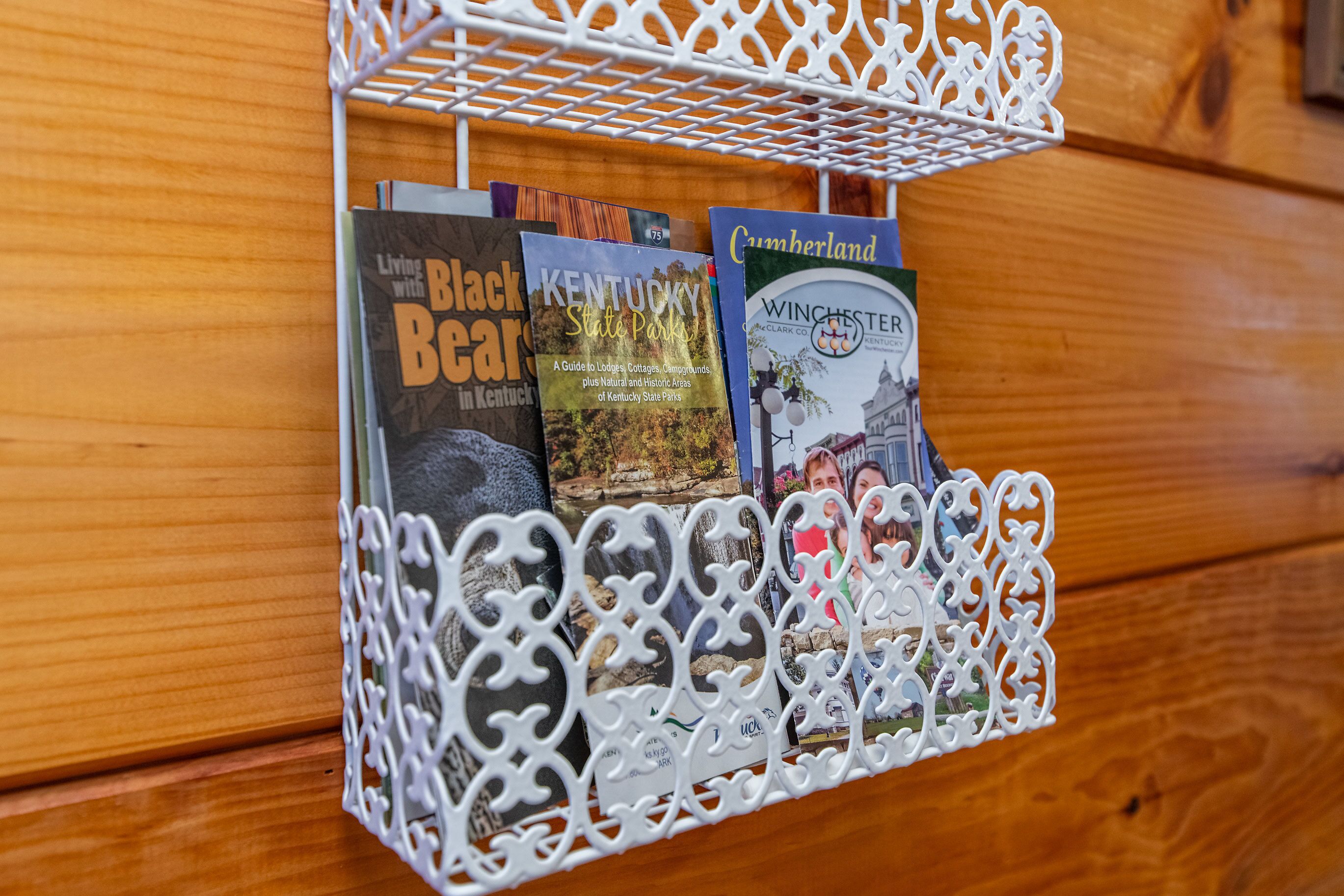Una estantería blanca, de diseño intrincado, con libros.