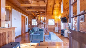 TV, DVD player, books, video library