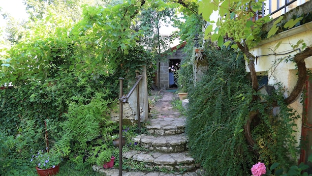 Unclassified image, 1 of 15, button - Le Bois des Nids (Lurcy-Levis)