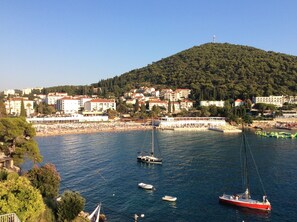 Vista desde la propiedad