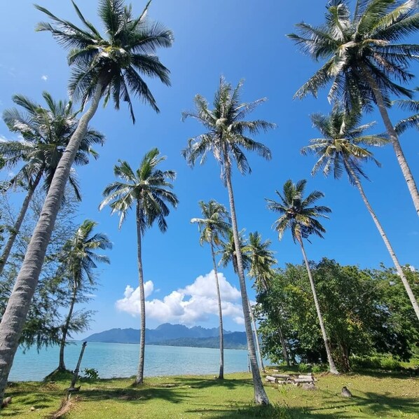 A tropical beach with palm trees and a clear view of the ocean. - Coconut Beach Villa Langkawi (Langkawi)