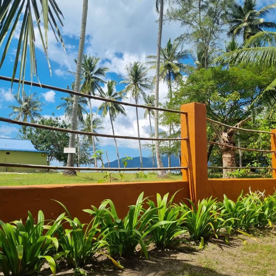 A fenced area with a view of palm trees and a building in the background.