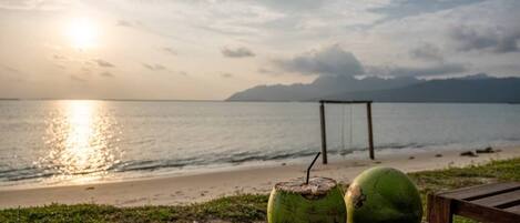 A wooden bench with two coconuts on it, overlooking a beach with a swing set and the ocean in the background.