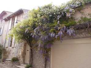 Front of property