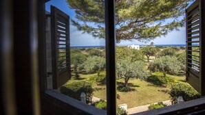 Vista a través de contraventanas abiertas de un jardín con un árbol y un edificio al fondo.