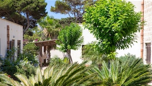 Un patio con un edificio blanco, una pérgola y diversas plantas tropicales.