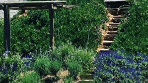 A garden with a wooden pergola and a stone staircase surrounded by lush greenery and flowering plants. - Veranda House (Midrand)