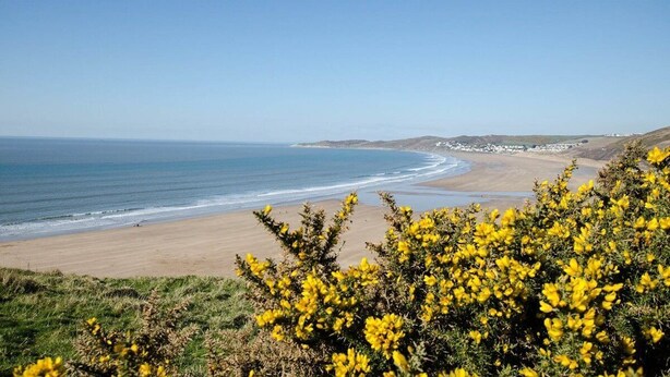 Un paysage côtier avec une plage de sable, un ciel bleu dégagé et, au premier plan, des arbustes aux fleurs jaunes.