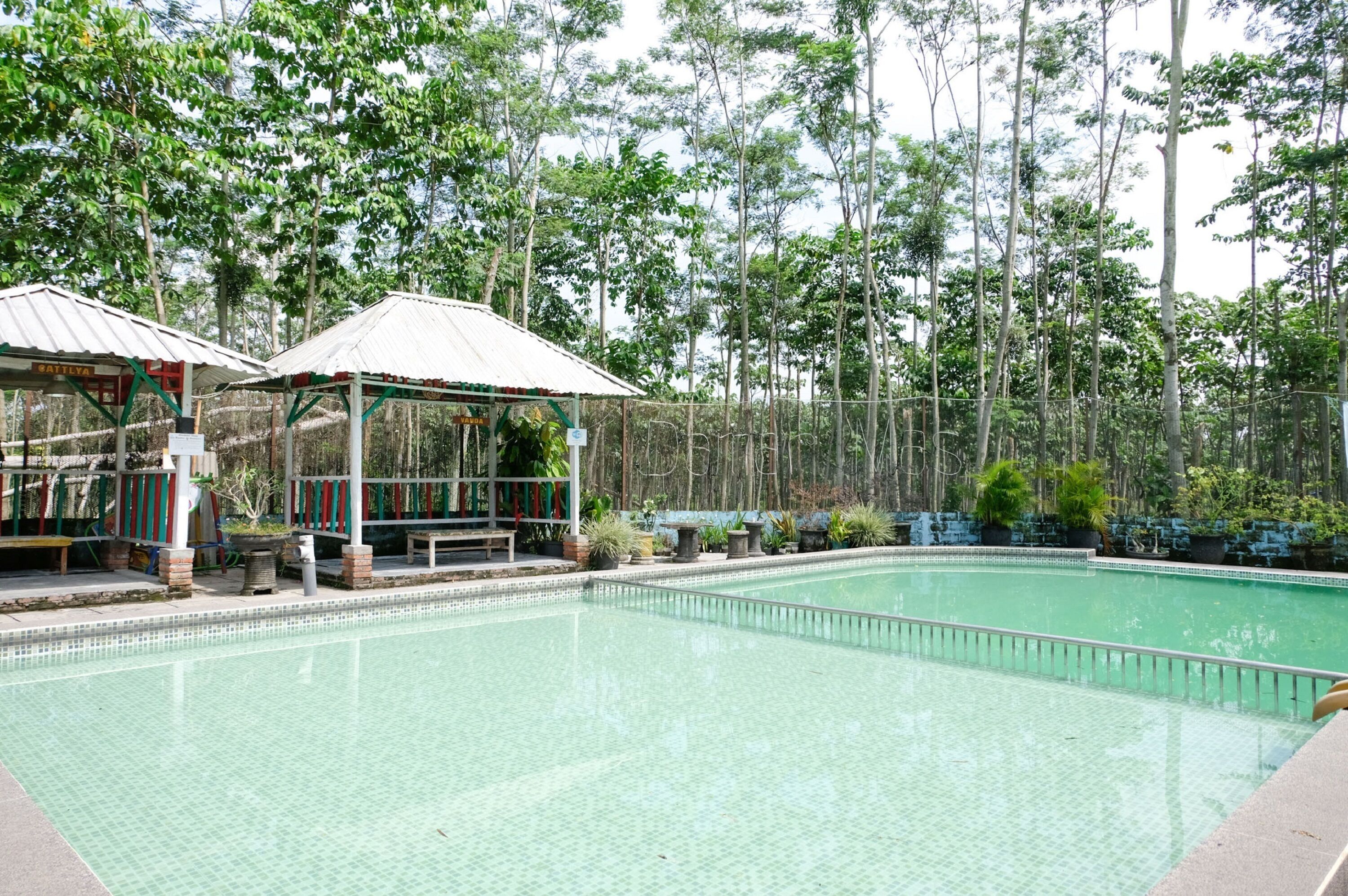 A swimming pool with a tiled deck, surrounded by trees and a covered seating area.