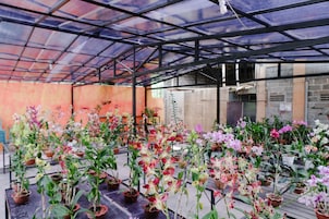 Jardín
