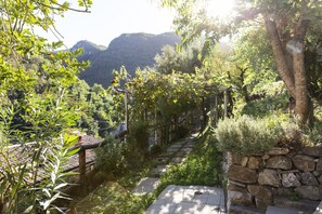 Vista desde la habitación
