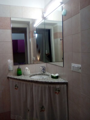 Shower, free toiletries, hair dryer, bidet