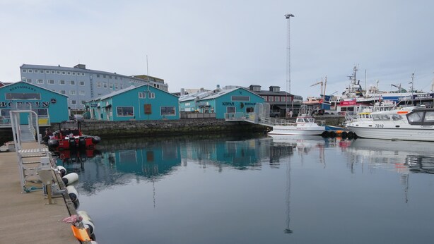 Unclassified image, 1 of 20, button - Studio apartment in heart of Reykjavik (Reykjavik)