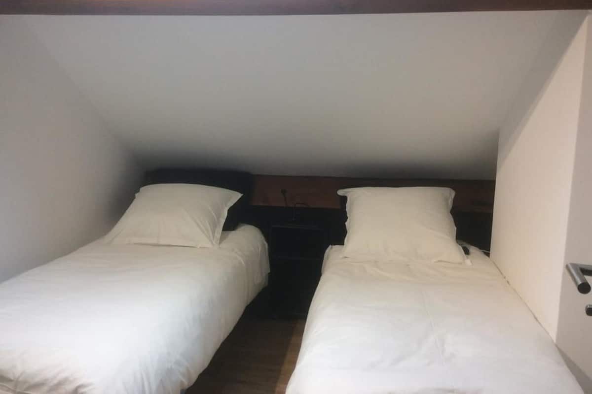 Twin Room (Les Jumeaux) | 1 bilik tidur, dihias secara berasingan