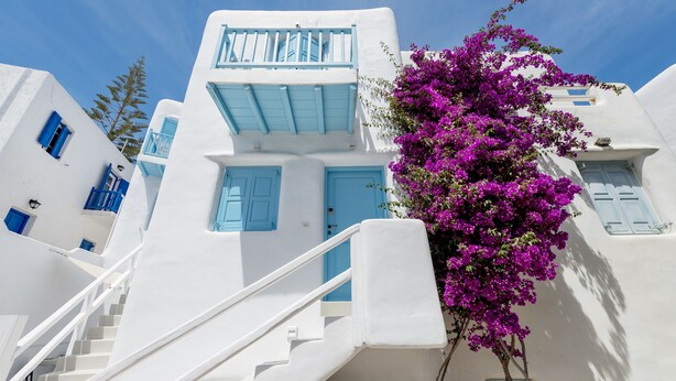 A white building with blue accents, including doors and windows, and a staircase leading to an upper level. - Mykonian Mews (Mykonos)