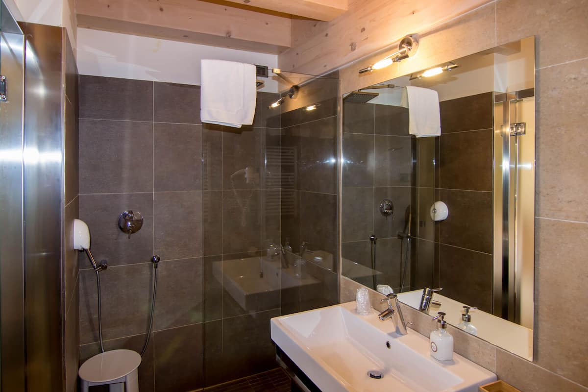 double or twin room | bathroom | shower, hair dryer, bidet, towels