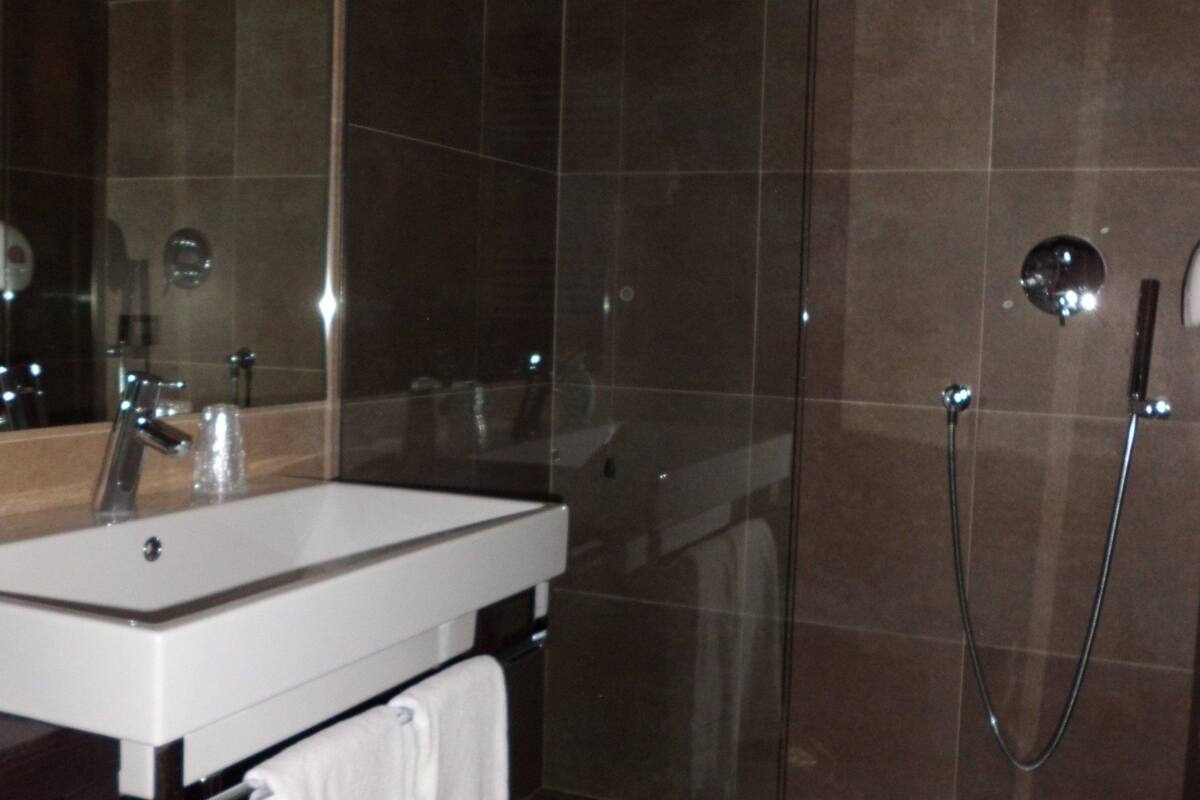 shower, hair dryer, bidet, towels