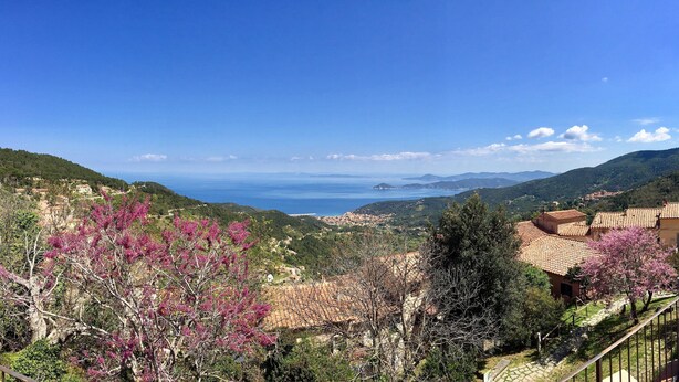 A scenic view of a coastal town with terracotta-roofed buildings, a clear blue sky, and a distant view of the sea. - Da Gabriella e David (Marciana)