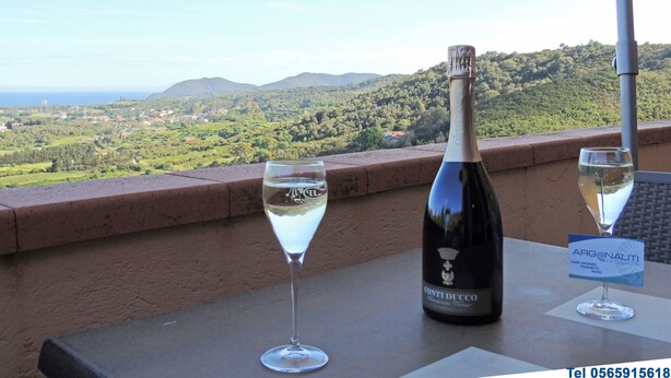 A bottle of Conti Ducco wine and two glasses on a balcony with a scenic view of a coastal landscape. - Residence Le Solane (Campo nell'Elba)