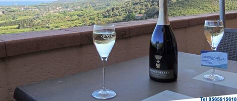 Apartment, 1 Bedroom (110) | Terrace/patio