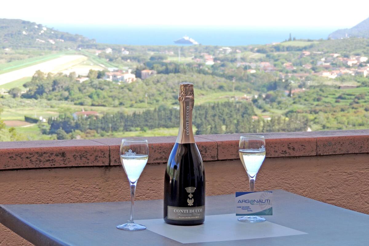 Apartment, 1 Bedroom (111) | Terrace/patio