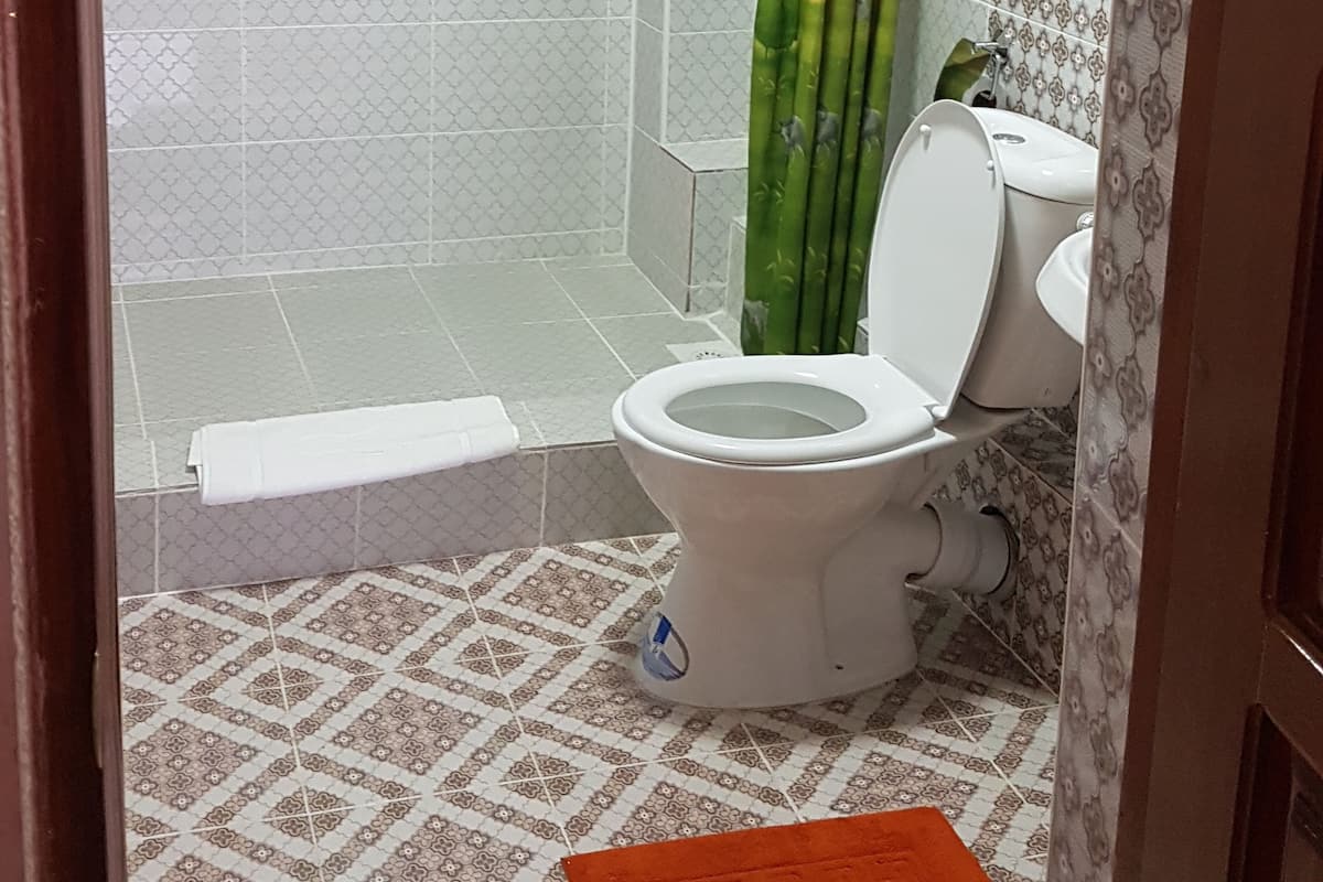 Shower, hair dryer (on request), towels, soap